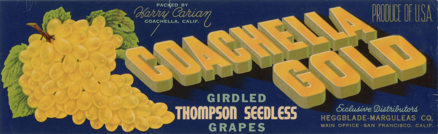 Coachella Gold old ver